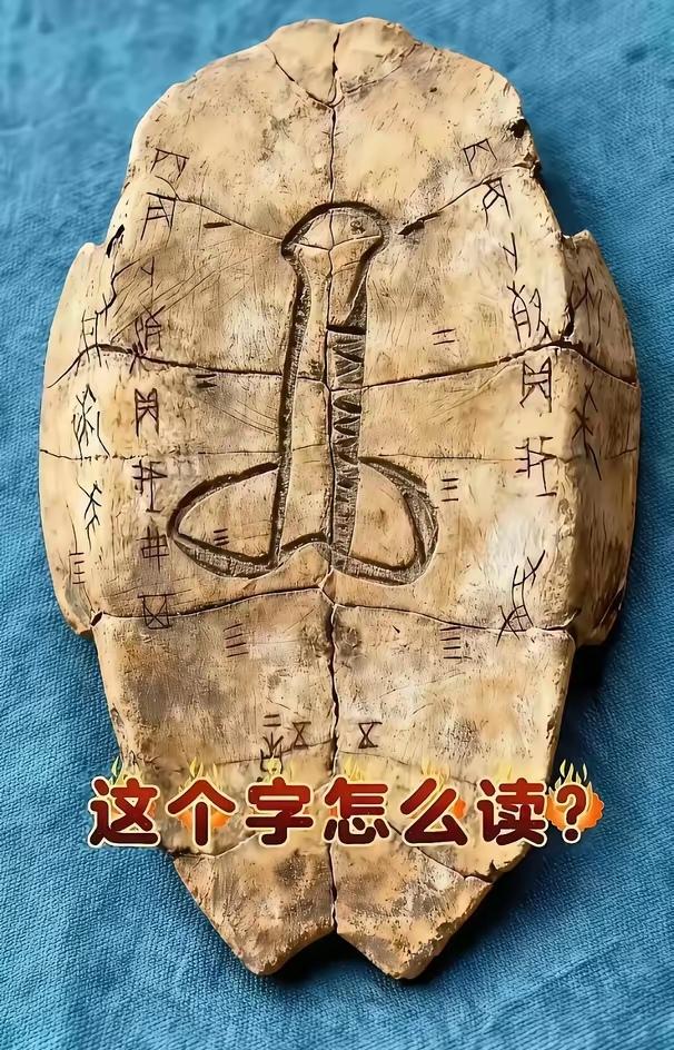 甲骨文古老而神秘，是中国文字的始祖，下图中央的甲骨文字，您会读吗？据说能辨识出来