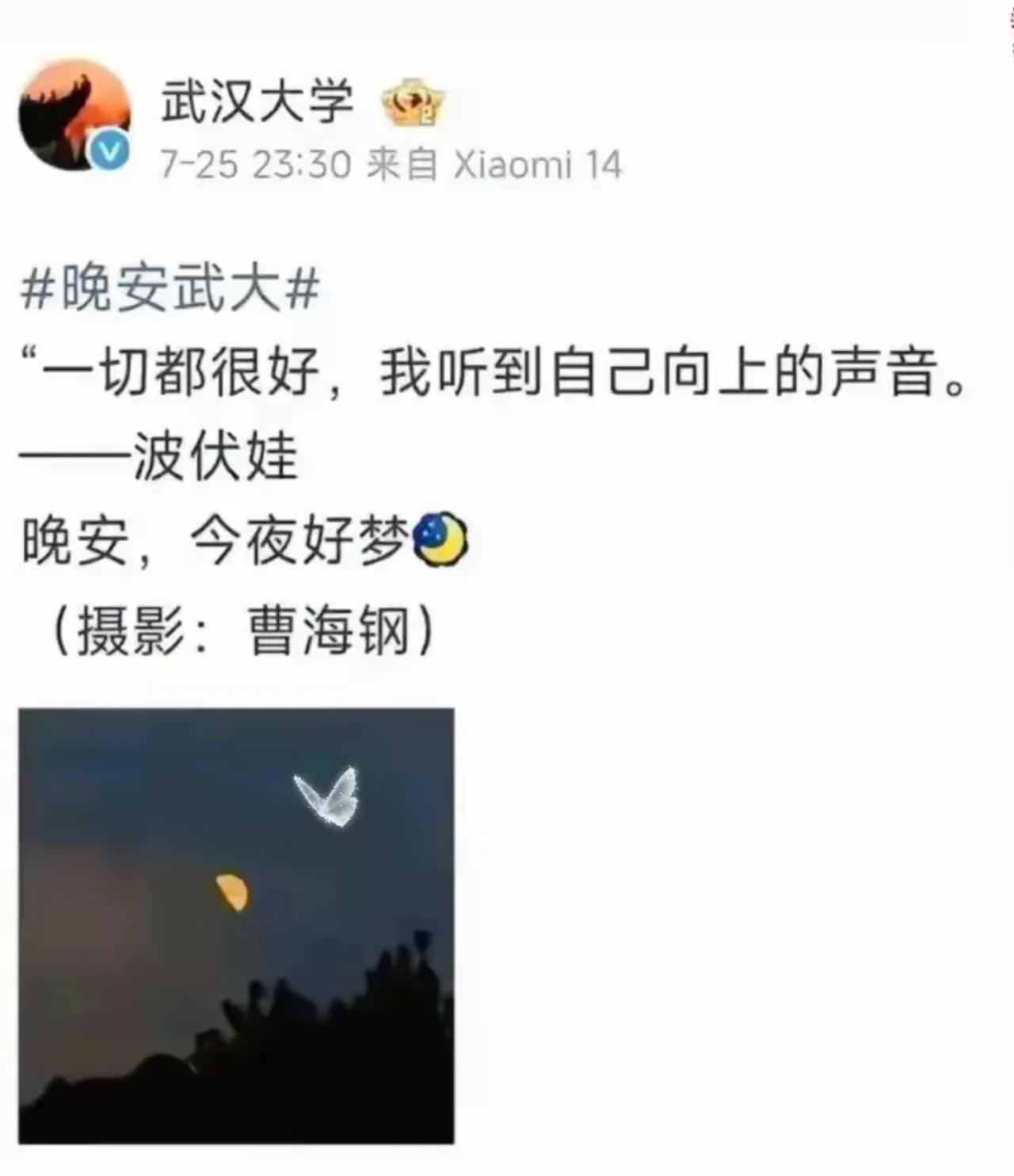 波伏娃是什么人？