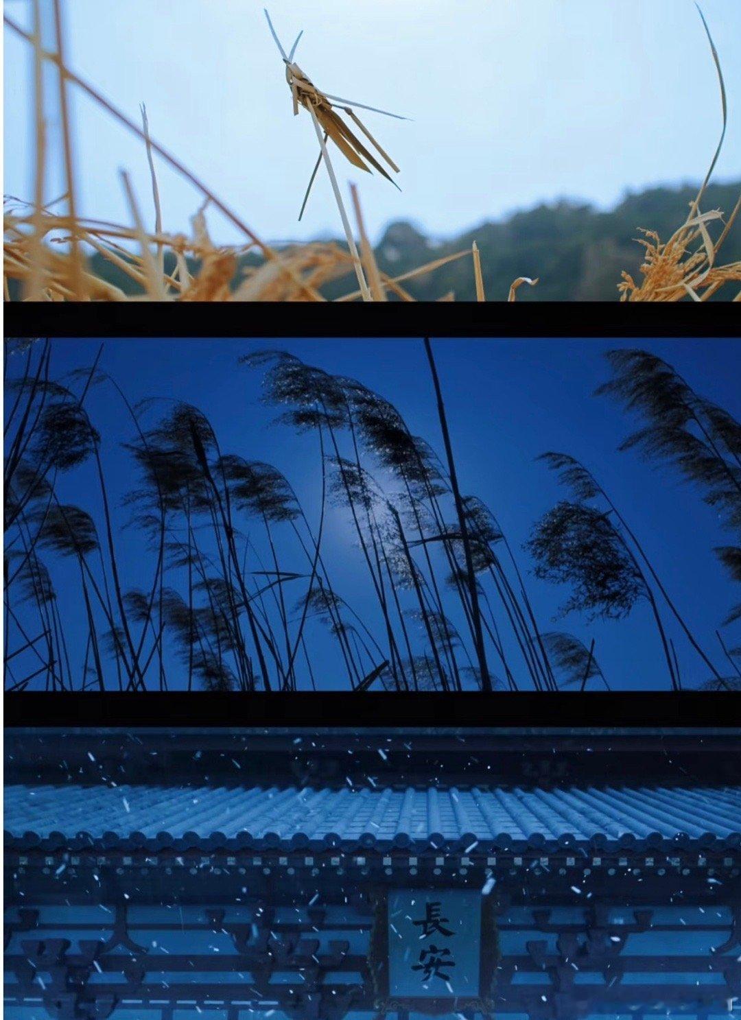 成毅长安二十四计神级运镜镜头有魂，画面有骨。从芦苇荡的苍茫到人物眼中的微光，每一