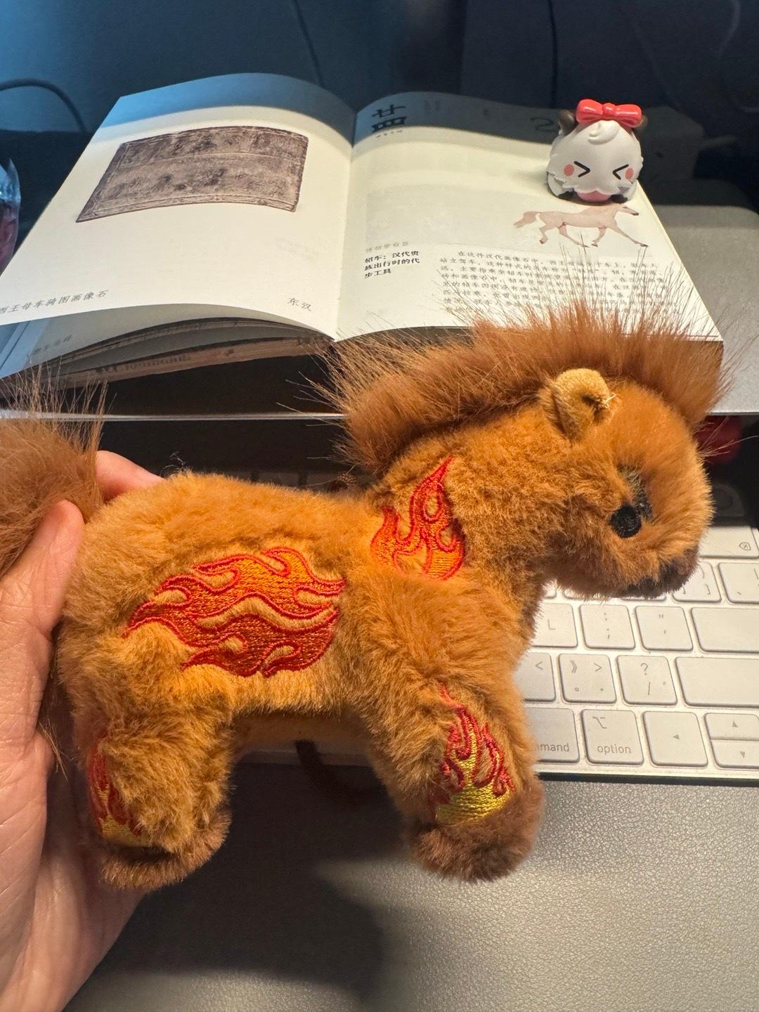 一直忘记拆的26年春节团团毛绒盲盒被我妈打开了看到礼包和公益的结合还是有点被感动