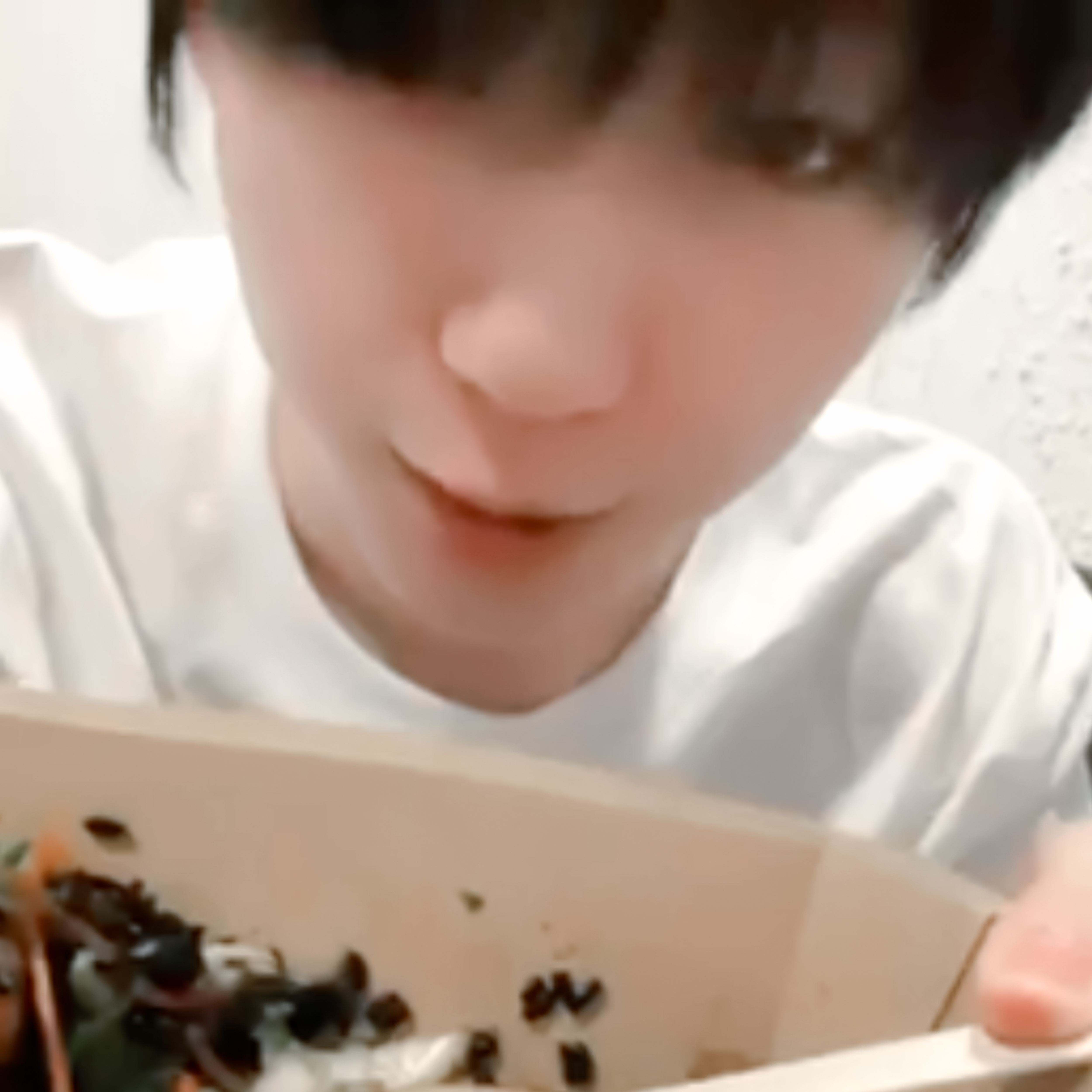 可食用小猪 