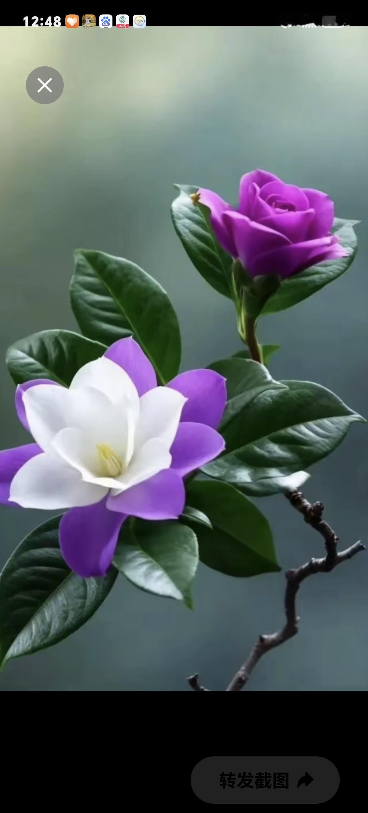 花开花落，皆是人生最好的启示
 
春去秋来，花开花落，是世间最寻常的轮回。年年岁