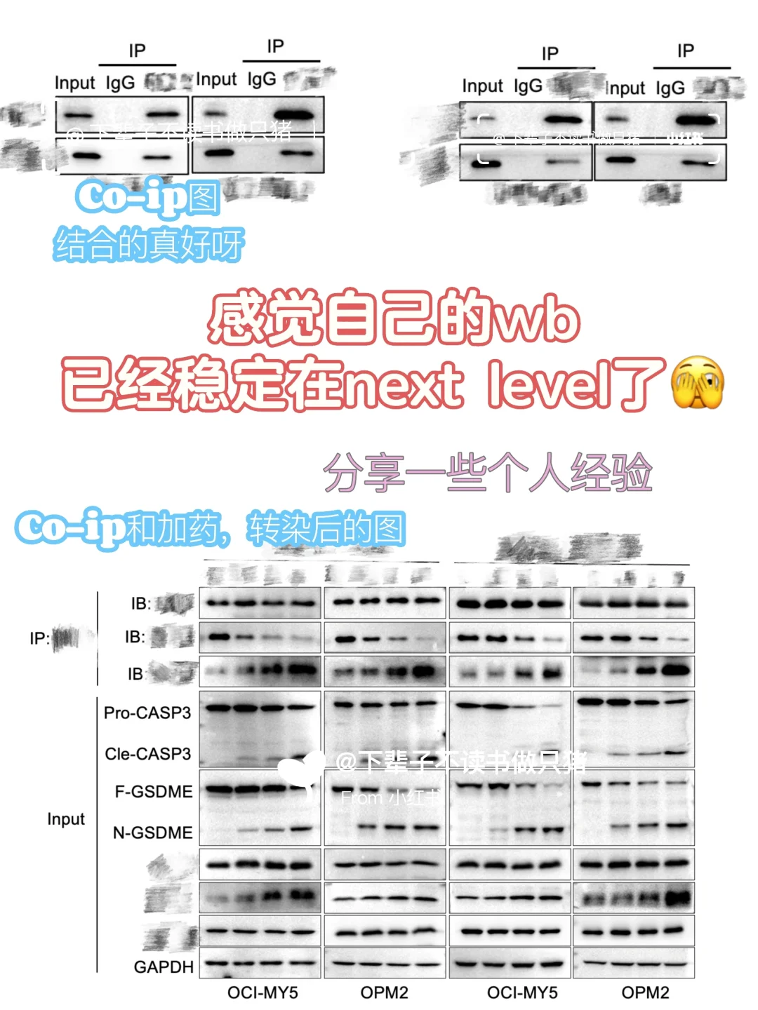 感觉自己的WB条带已经稳定发挥在next level