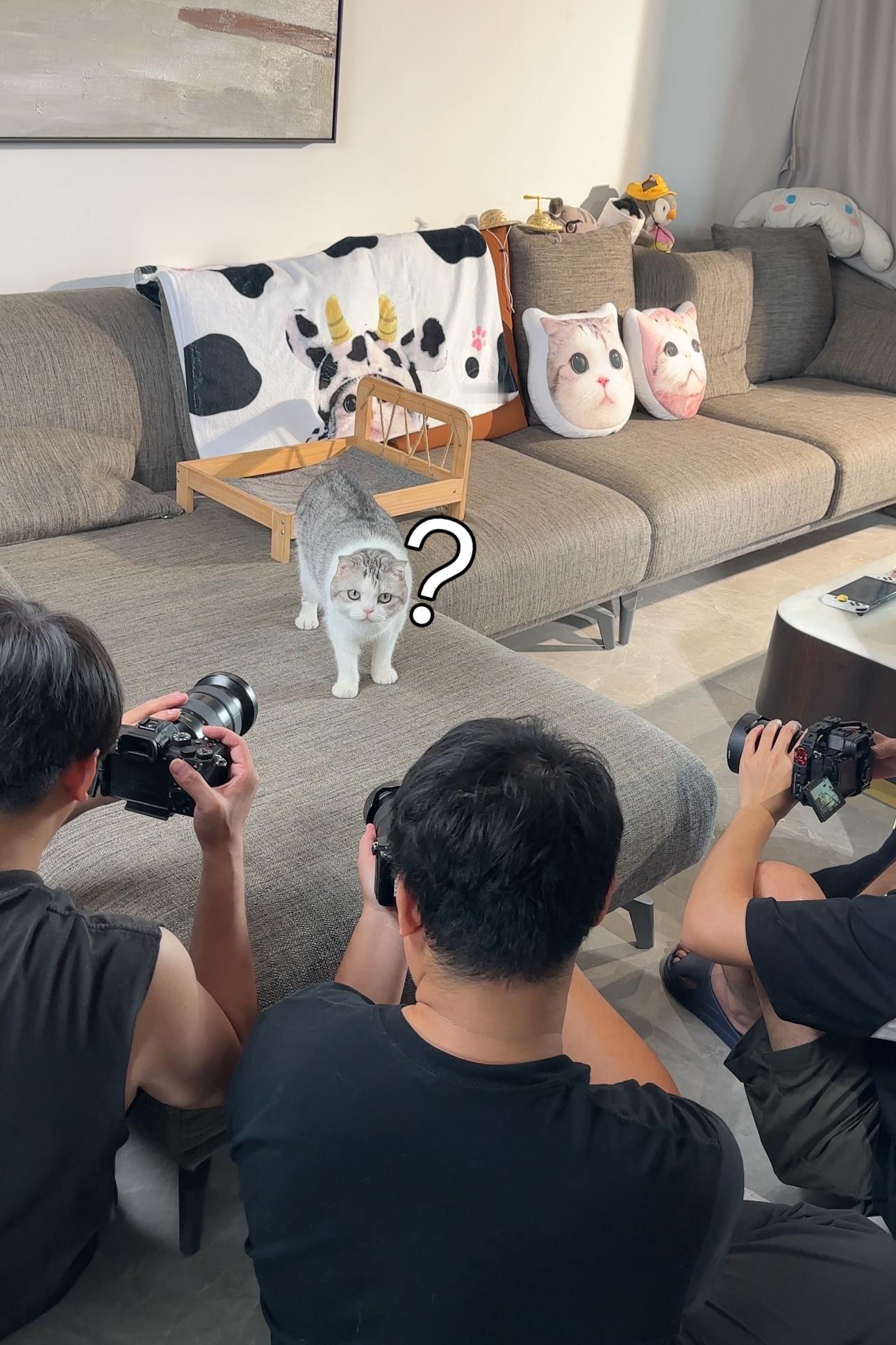 女明星拍大片(✧◡✧)猜猜是在拍什么！#喵趣横生# ​​​