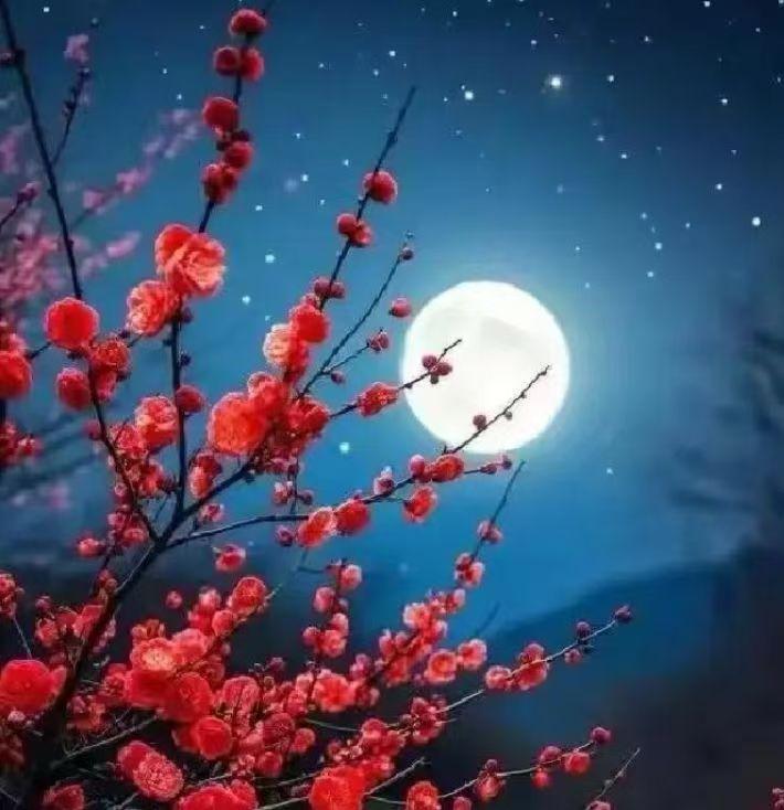 去年腊月二十三，小区老头老伴刚走，他却闪电再婚楼下张大姐，两个在外打工的儿子瞬间