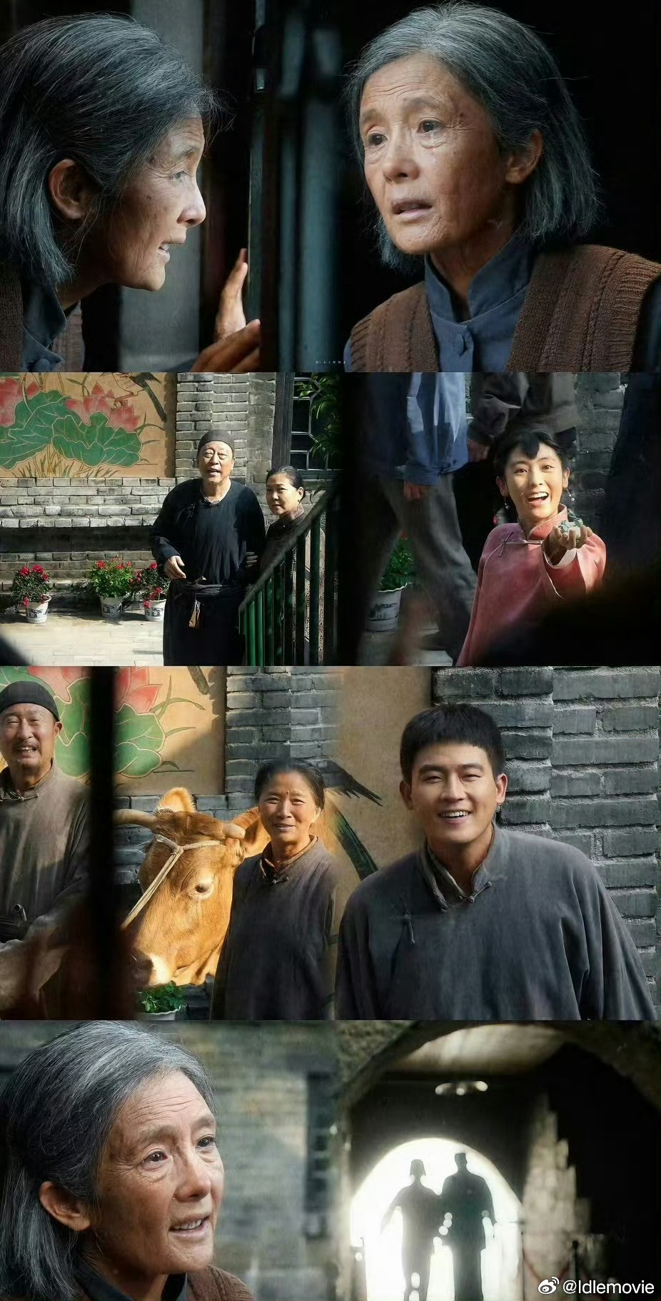 杨幂赵丽颖 白玉兰当然杨幂生万物，向内扎根，向上生长。在《生万物》中杨幂的精准演