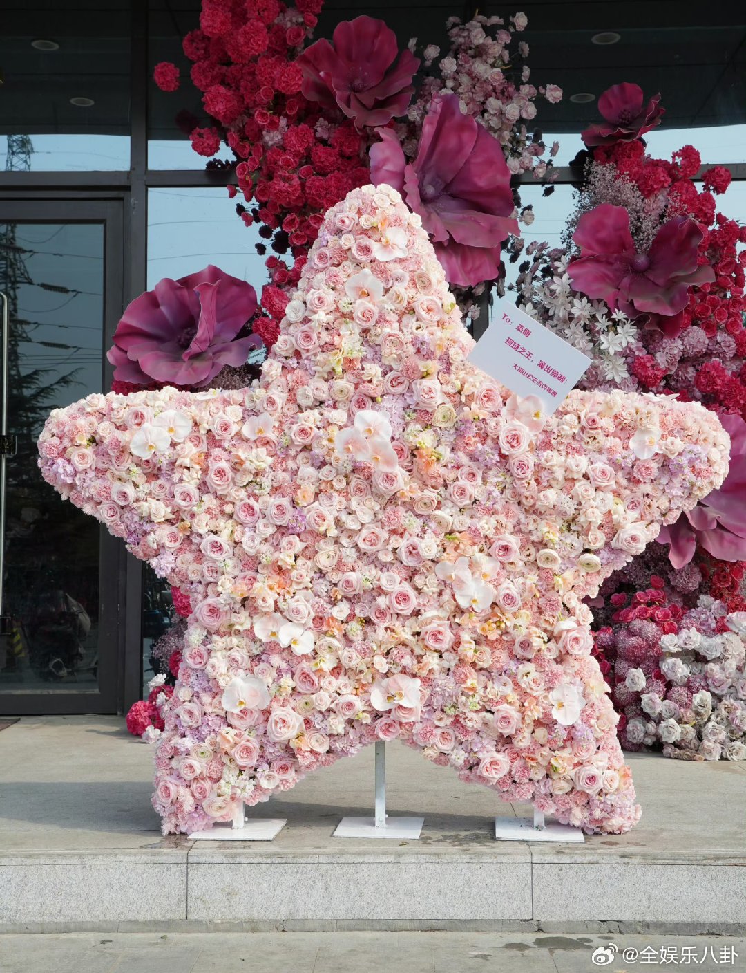 吉克隽逸送张杰2米星星吉克隽逸送张杰演唱会星星花