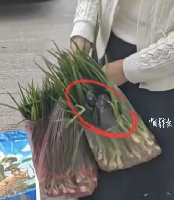 女子见大爷路边卖菜迟迟没卖完，好心全包下，回家打开袋子当场愣住
 
一位女子路过