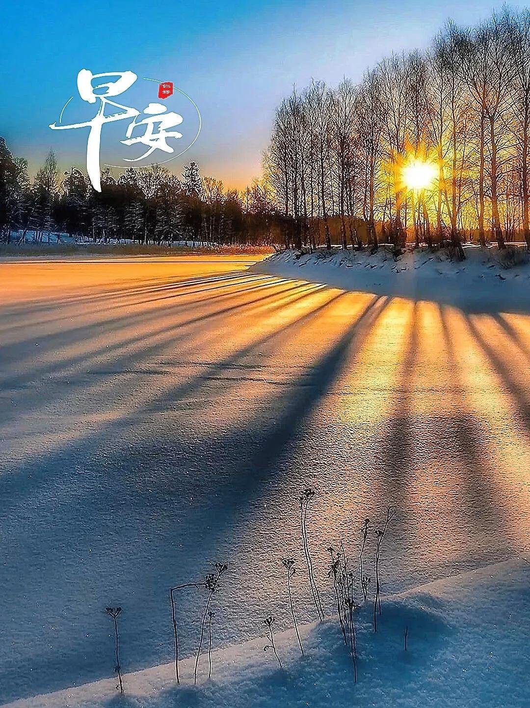 早安 早安。一个人能力的上限或许早已注定，但努力永远没有边界，崭新的日子，带着热