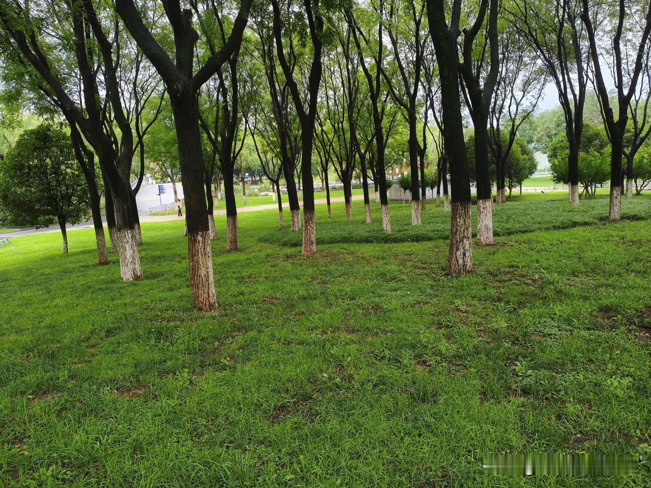 早上生了一点气。中午饭都不想吃了。不是不想吃，而是生气吃不下。

感觉自己既委屈