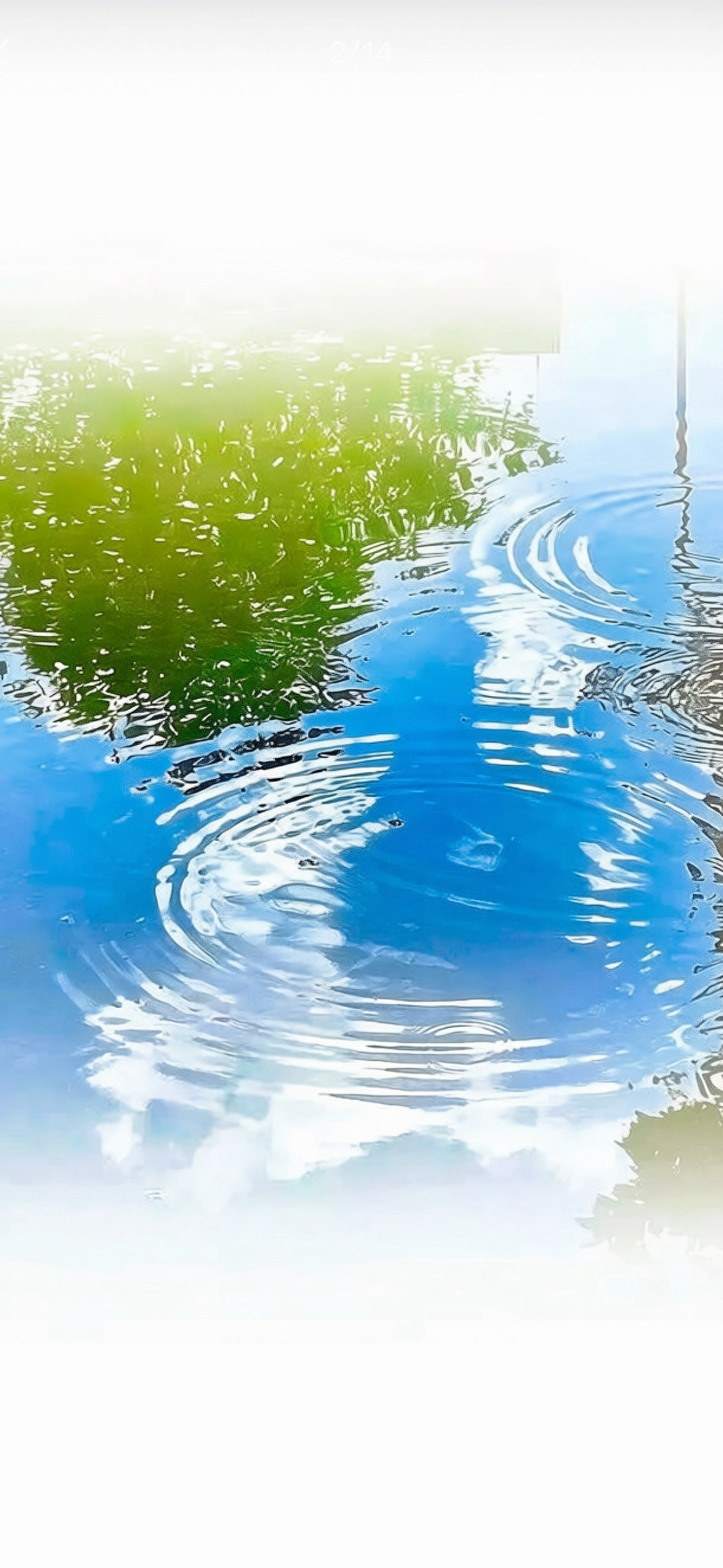 手机壁纸｜背景图或许很多时候你认为的感情，其实只是别人在感谢。 