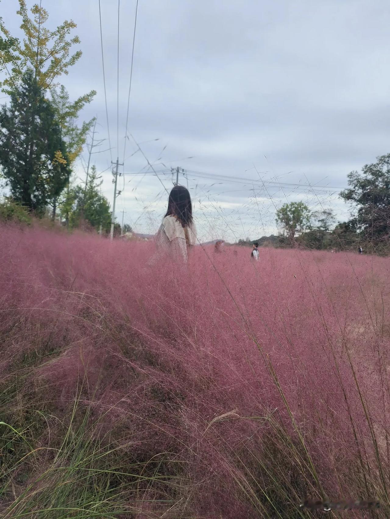 以后不再旅游了，退休后每年夏天出去旅居三个月避暑。我已经游够了，累、睡眠不好，都