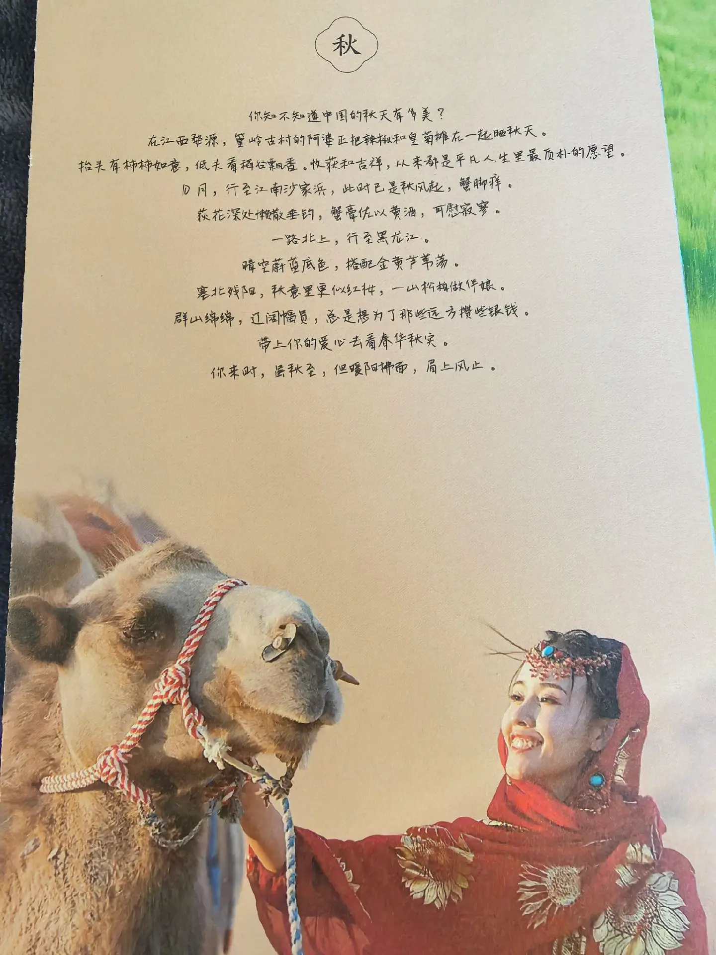 爱是当你望向我时，所有星光穿透我的心脏，而我赌你的枪里没有子弹
