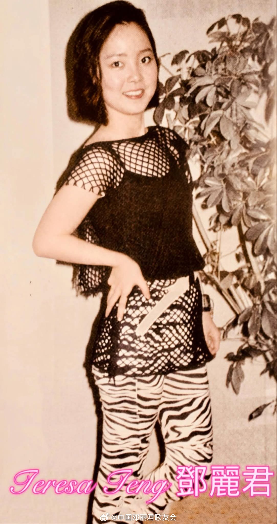 1984年7月，阔别香港半年后，邓丽君再度会见传媒，强调此行纯属私人性质，并非宣