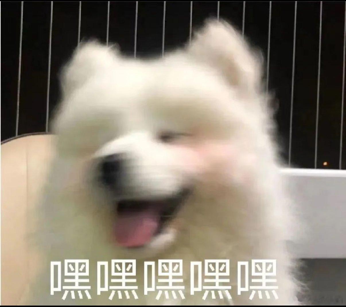 广东一车企高管发表汽车行业观点技术应当服务于出行生活。高管畅谈新时代出行体验，不