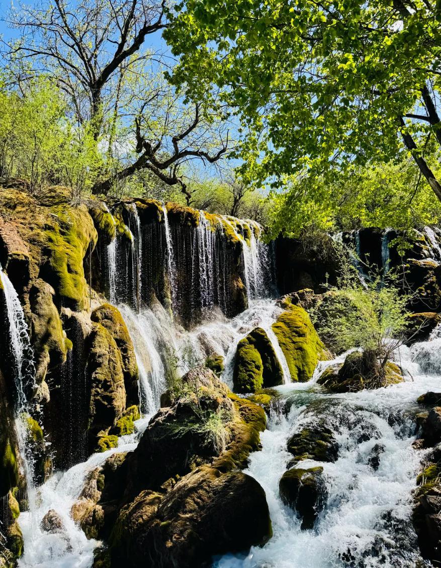 微博云祈福祈福2026华严宗祖庭西安华严寺 深耕自己，是最好的远见。不追随喧哗，