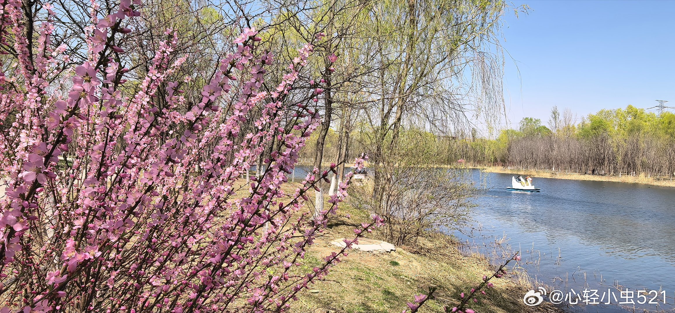 此刻  太原汾东公园湿地公园段 