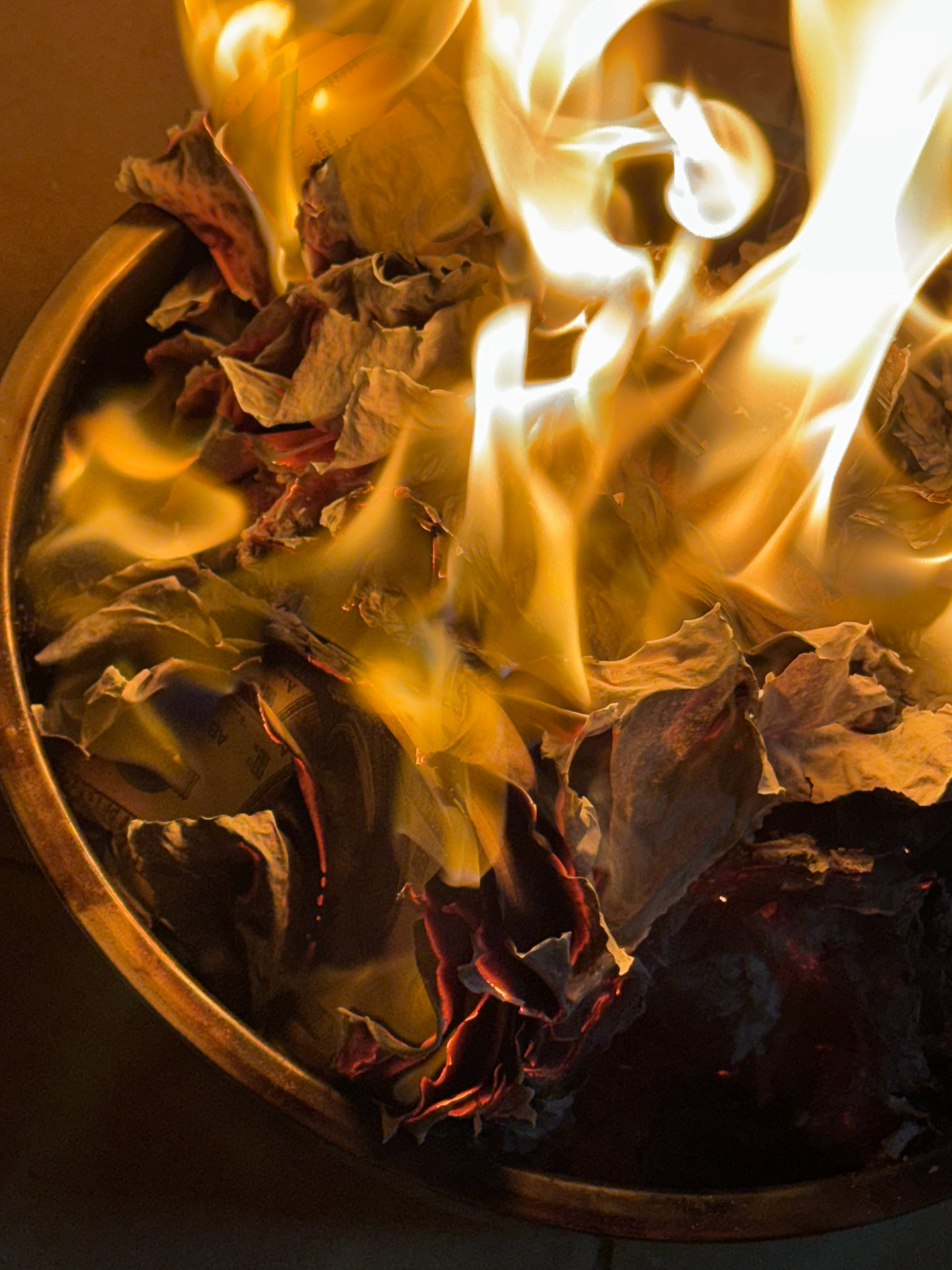 今天是妈妈的四七，感觉自己的性格越来越像妈妈了，好像越来越理解她了。 