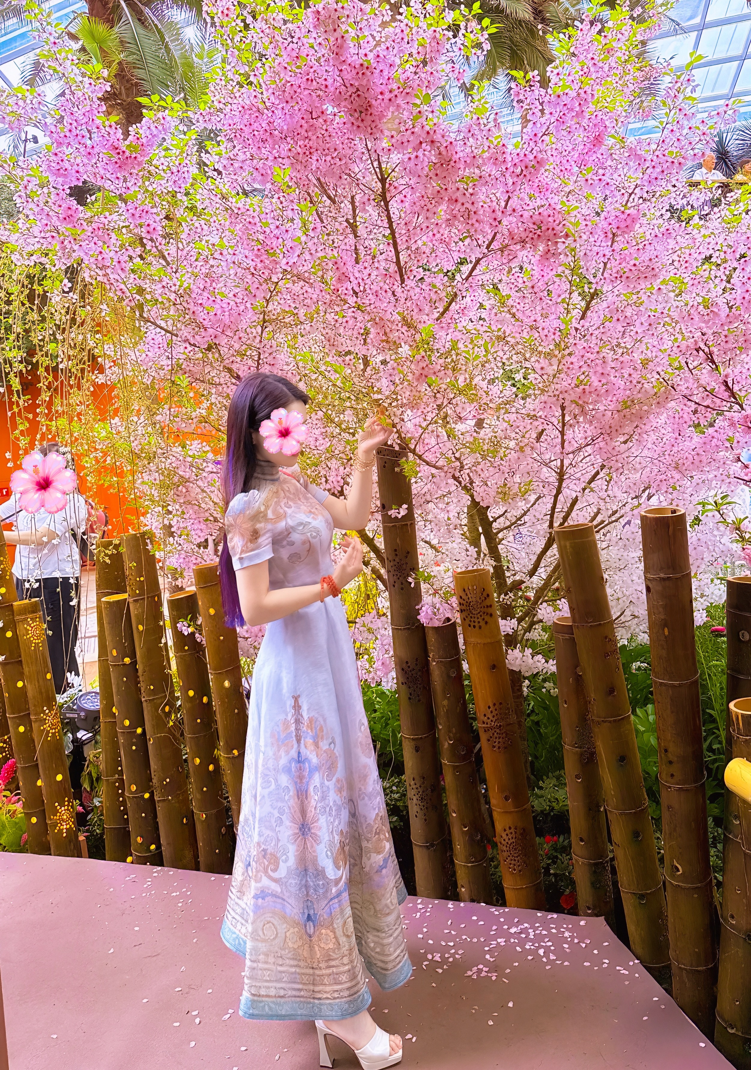 七夕啦七夕，不止于银河仰望，亦要于繁花之下深深扎根🌸总有人说，樱花树下，何人站