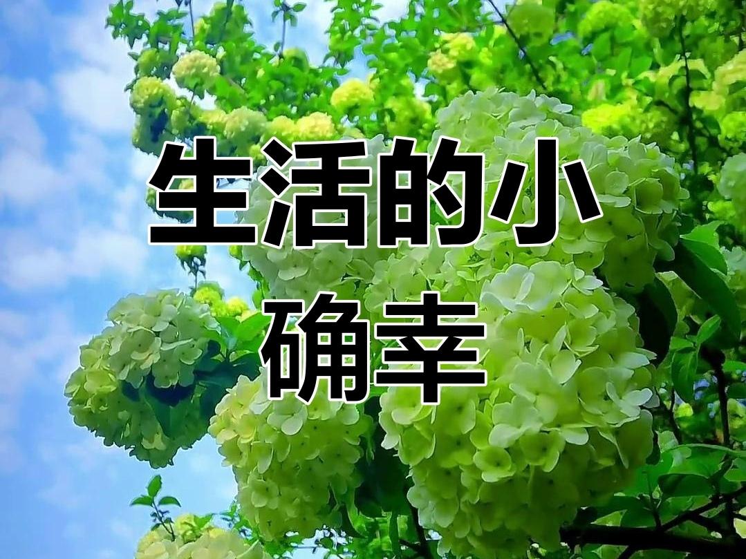 ＃分享每日一句生活感悟＃
     生活的小确幸，往往藏在那些不经意的瞬间，于平