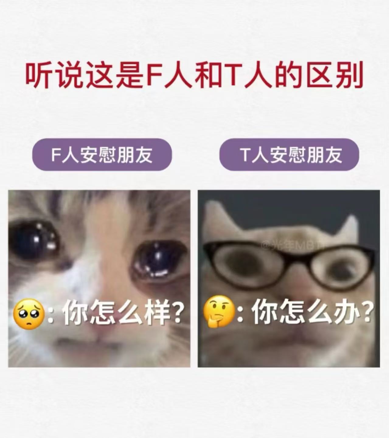 张小斐新剧T人  看《好运家》张小斐演的郝有嘉，好羡慕T人啊！生活上面对婆婆挑剔