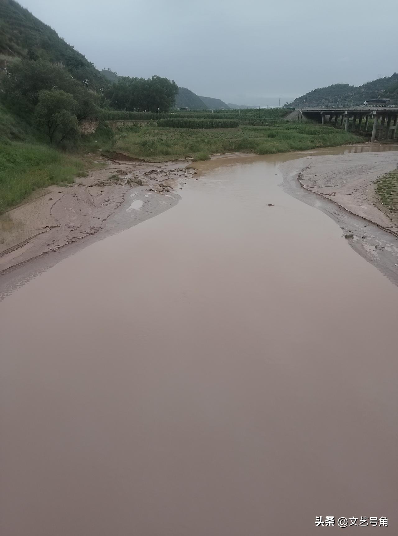 分享一张你最近随拍的照片雨多水浑