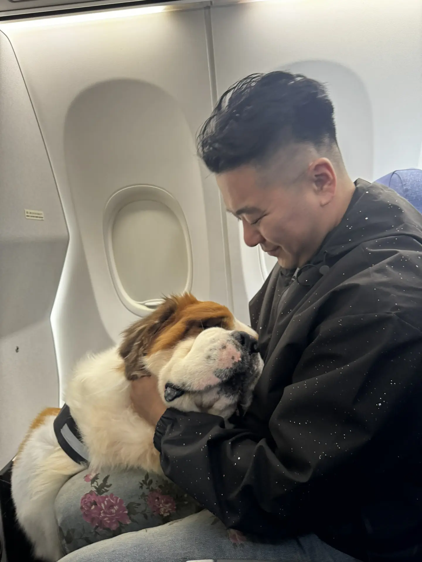 有没有阿拉善朋友