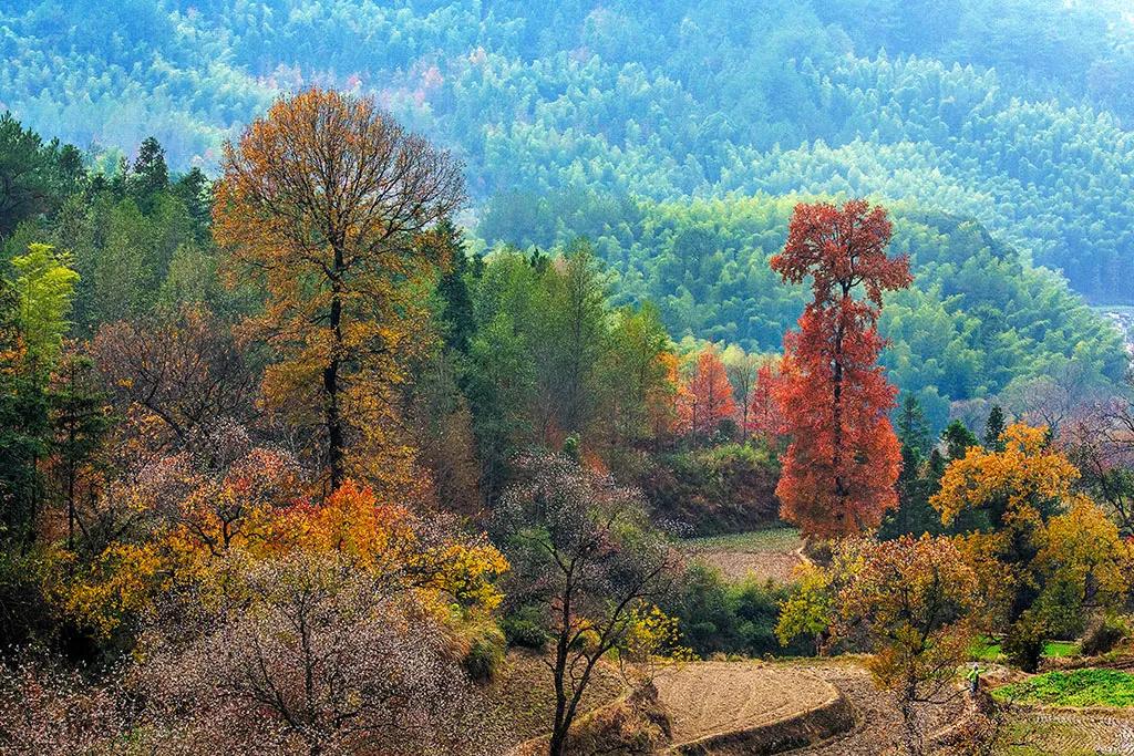 《秋山》
独行上远山，石径入云端。
层岭皆无碍，清心境自宽。
金风出塞北，诗韵到