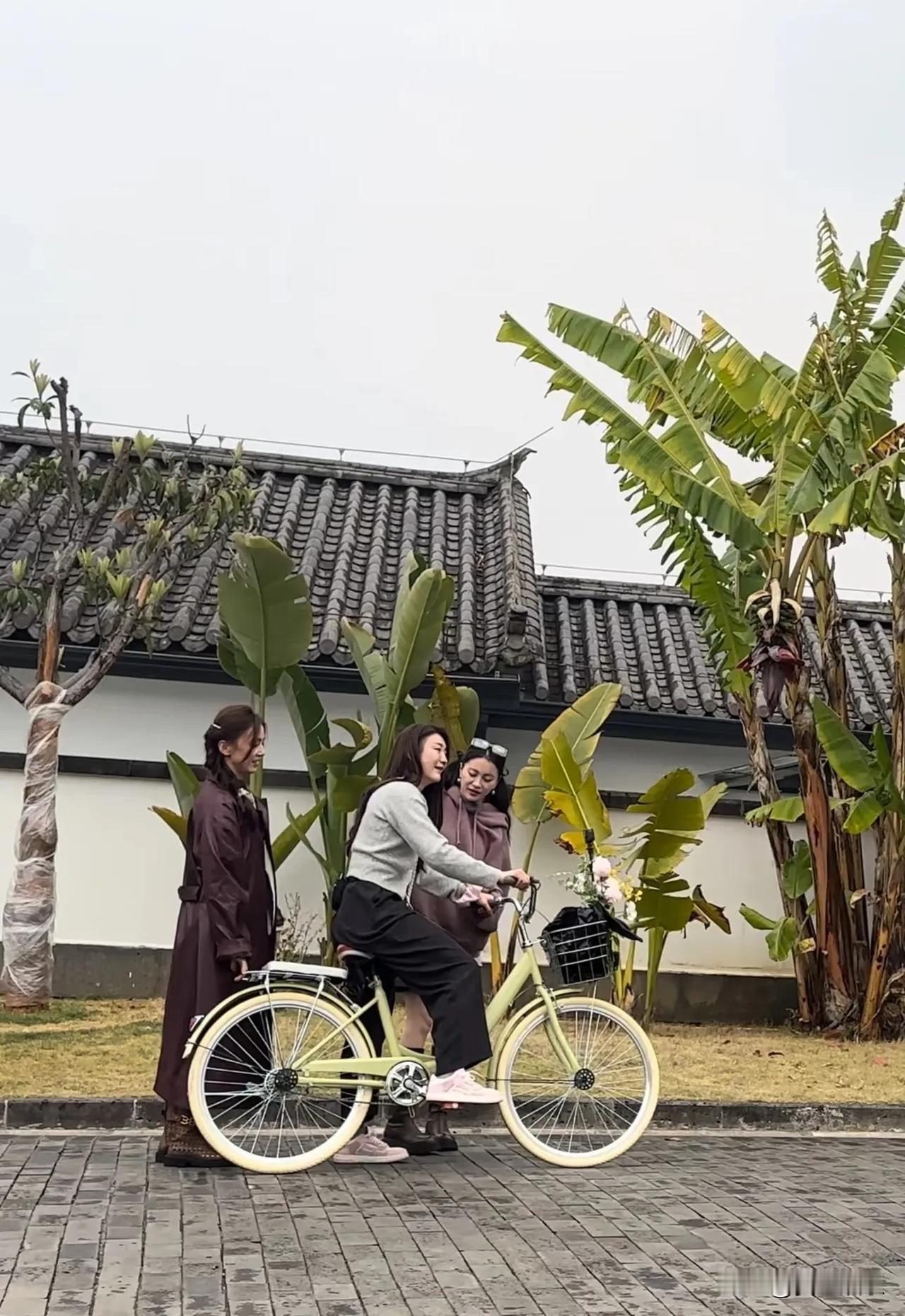 冠军陈梦还有大美女黄圣依来我们小区拍综艺
如果有望远镜，甚至能从我们家房间里看到