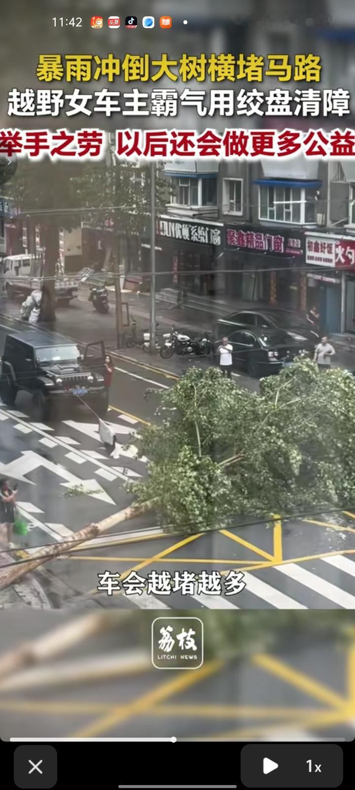8月6日，吉林长春。暴雨冲断大树把车道堵了，若不及时处理，车会越堵越多，给城市交