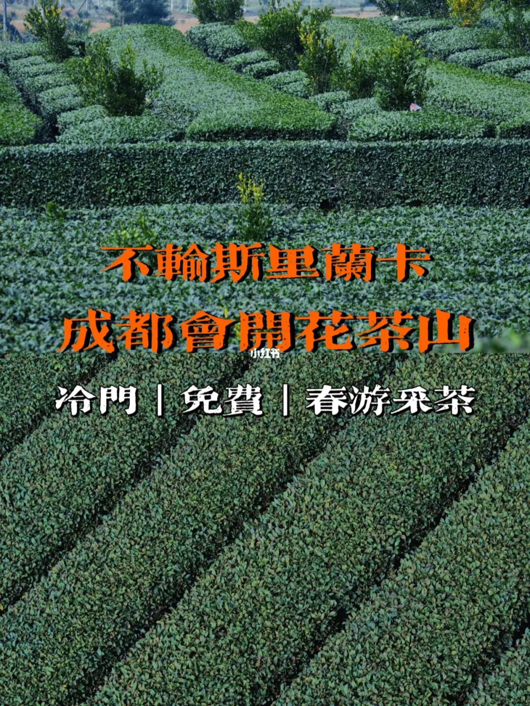 成都新晋秘境【无量山】配套玩法