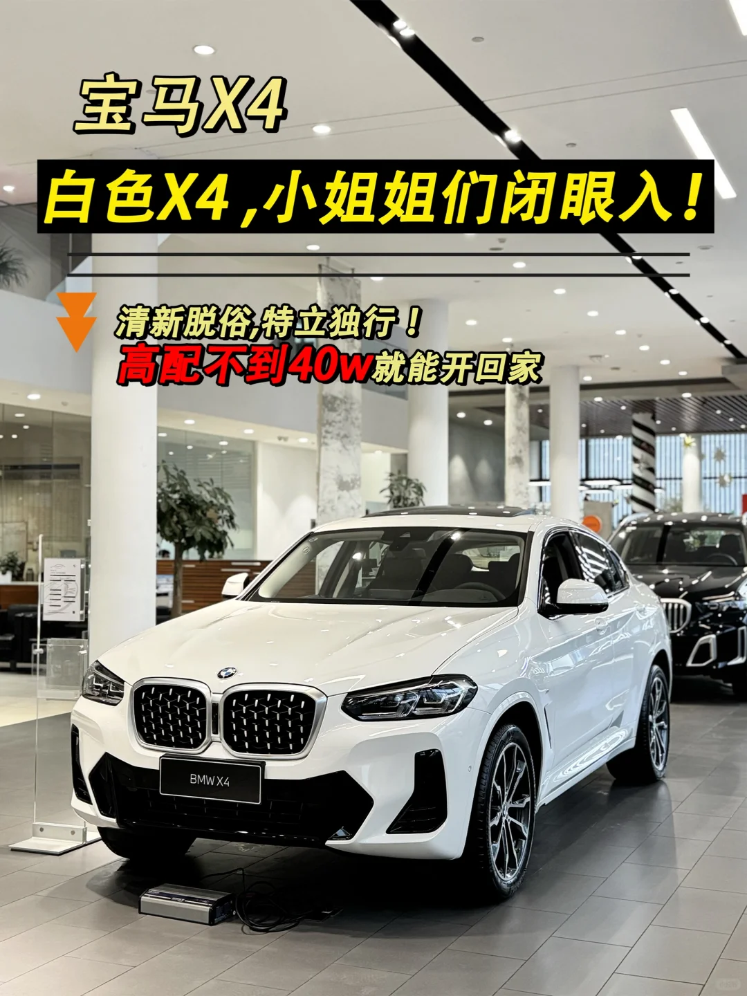 白色x4，小姐姐们闭眼入🥳