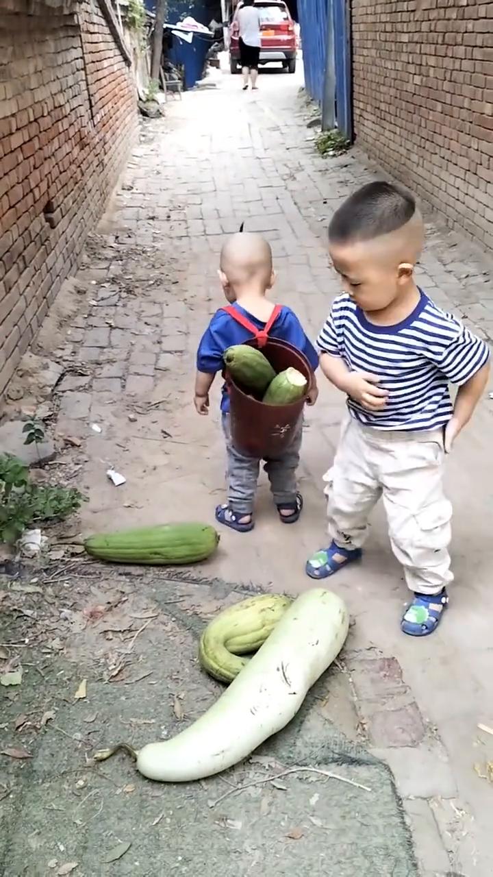 哈哈。