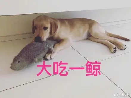 白骨精有多少个？36 个，因为一打十二个，三打三十六个～ 