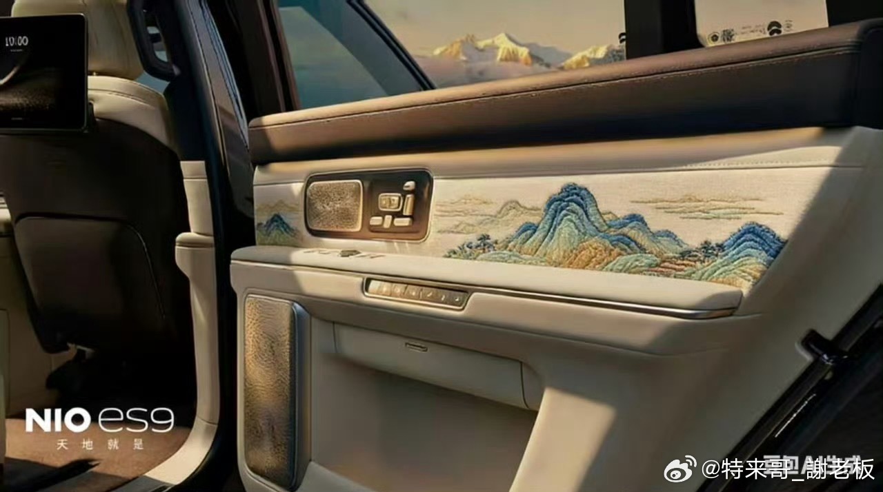 这……… 很有点感觉啊～ES9以后可以玩刺绣特别版！特来哥蔚来es9