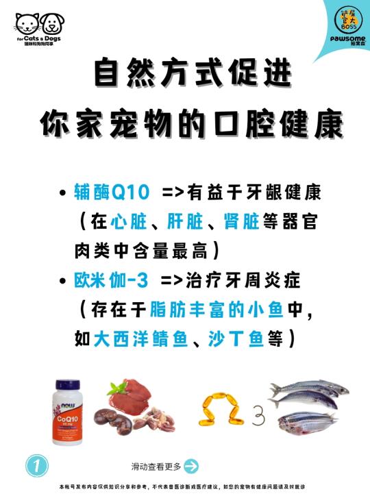自然方式促进你家宠物的口腔健康