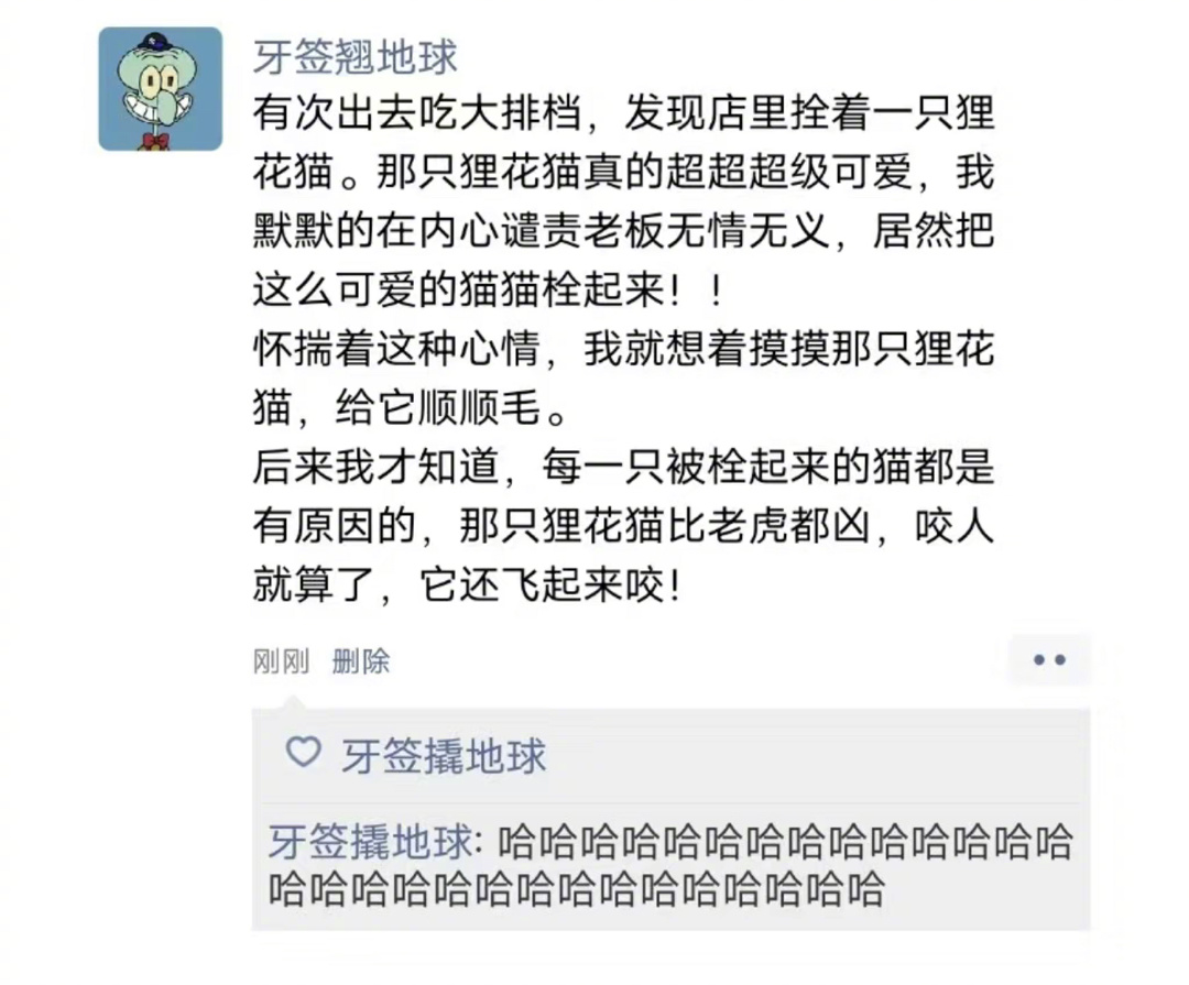 每只拴起来的猫都是有原因的#2023道个别##好运2024# ​​​