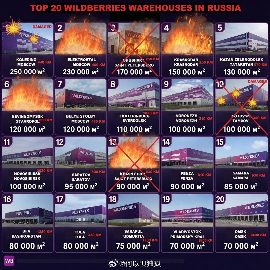 俄罗斯电商野莓Wildberries暂停了卖家的提前提现，阻止他们在标准支付时间