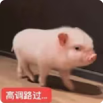 分享图片 