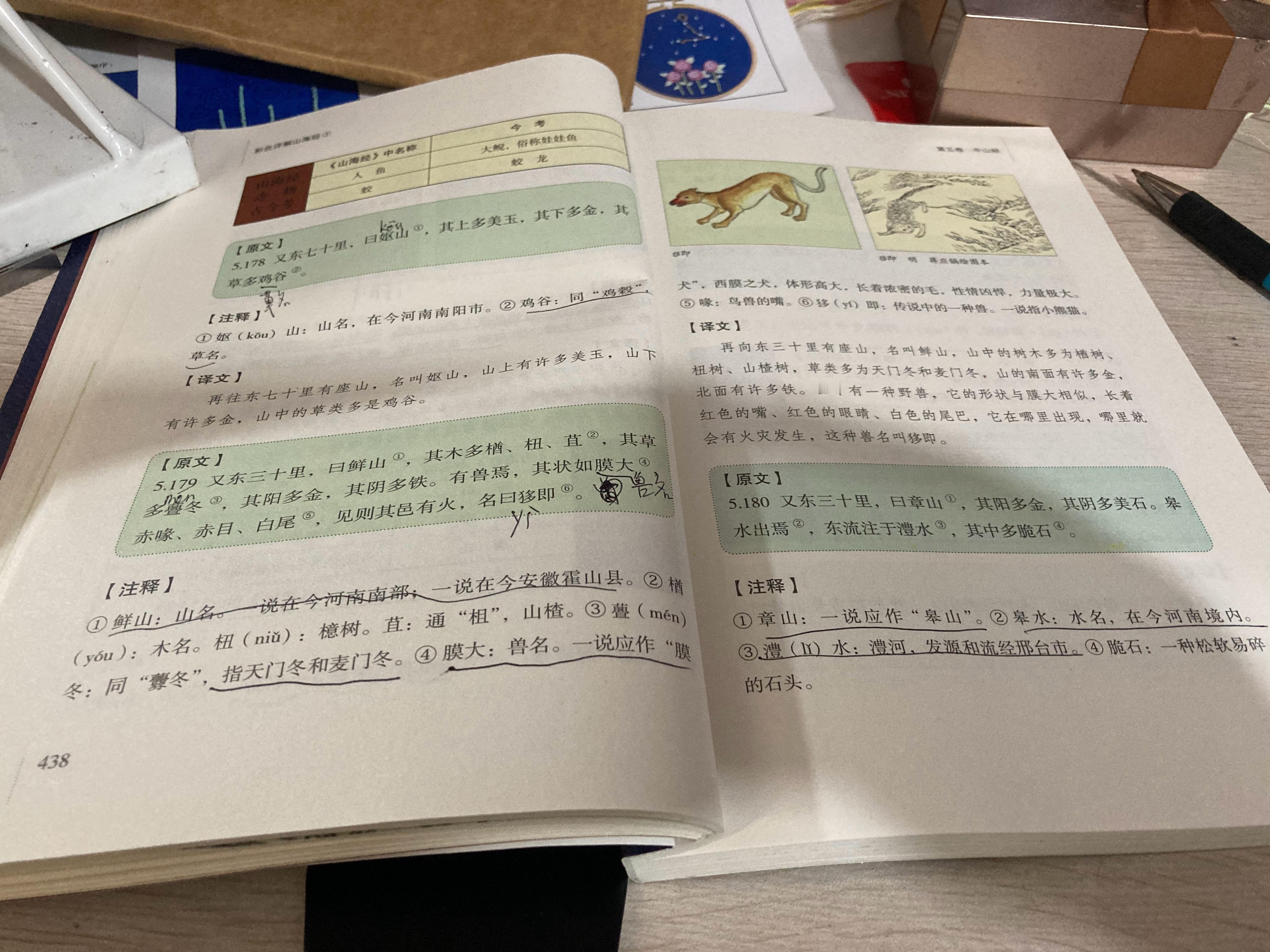 #杨紫国色芳华##特别陪伴杨紫何惟芳160天# 读书101天打卡《山海经》438