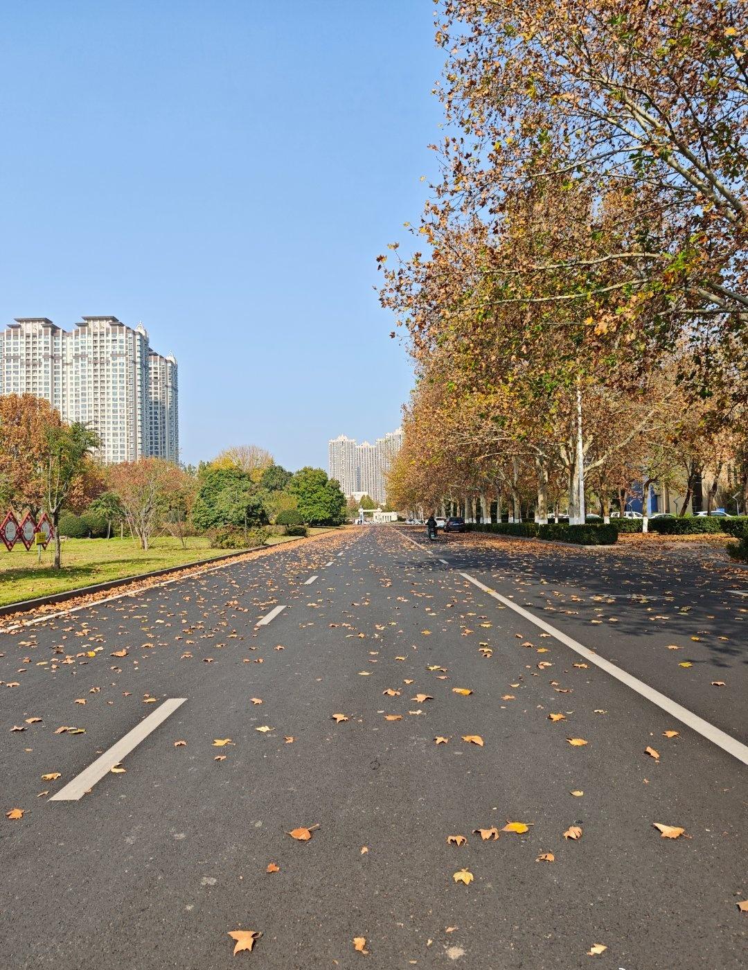 问题是，暖气啥时候给力？嗯？？