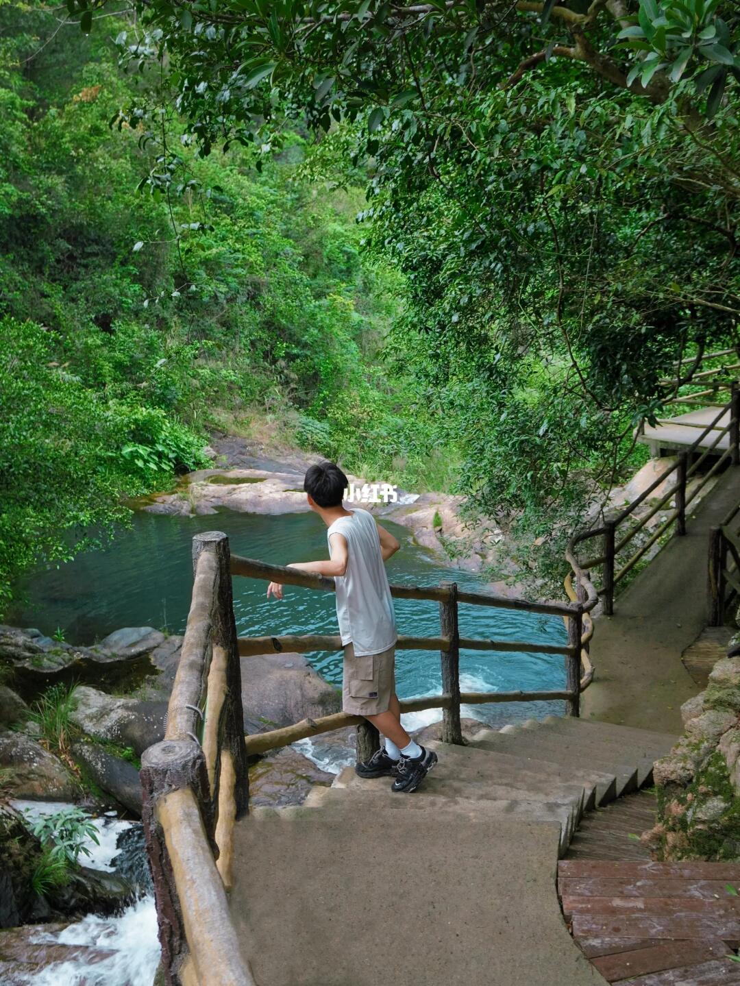 一路小溪瀑布🌊我宣布这是深圳最治愈森林