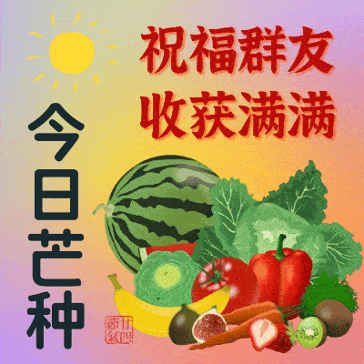 6月5日  星期五   芒种节气 

六月五日芒种至，各地沿袭多样节气风俗。北方
