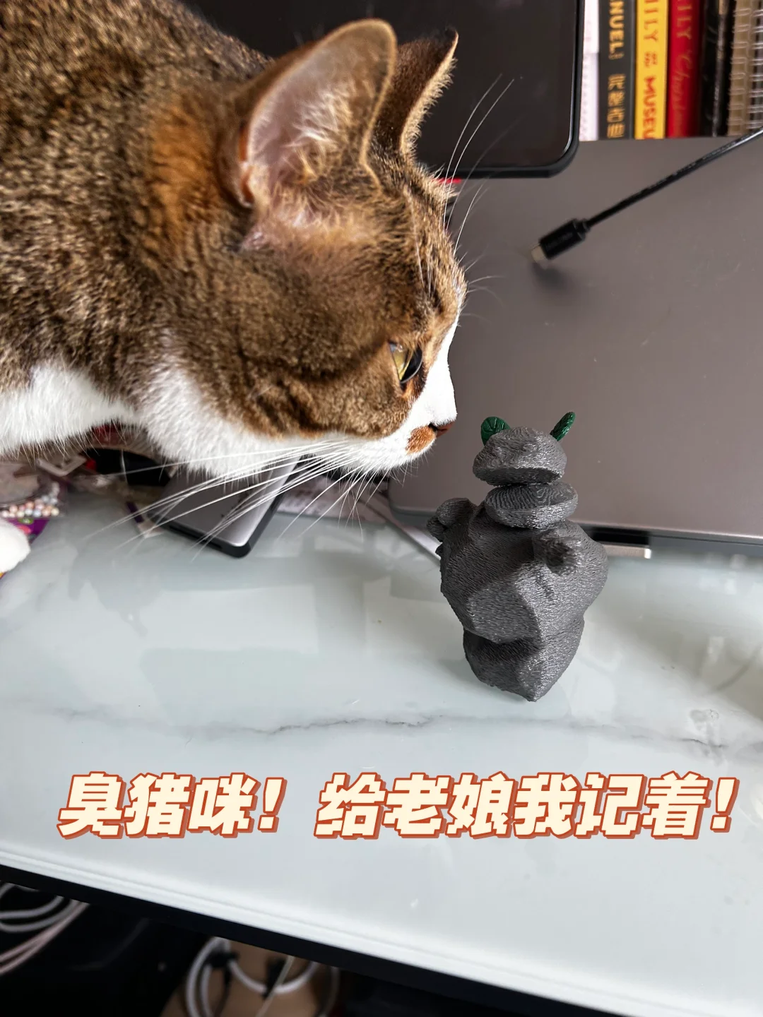 臭猪咪！给老娘我记着！