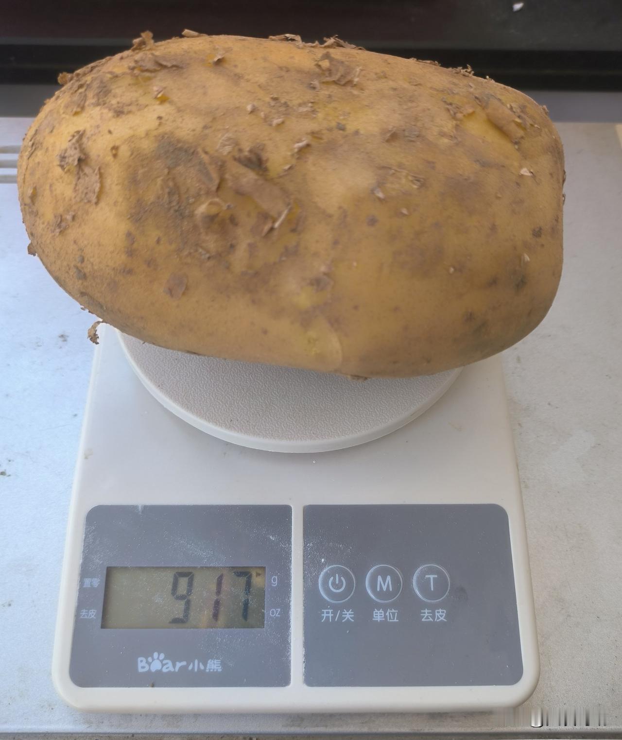 今年我们小县城参加中考的学生一共1200多人，而去年本县两所高中录取人数就达13