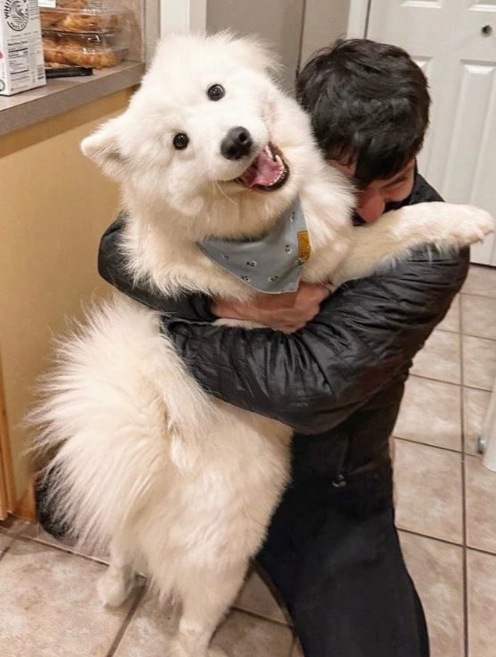 当代年轻人压力真的很大，一回家就疯狂吸小狗 