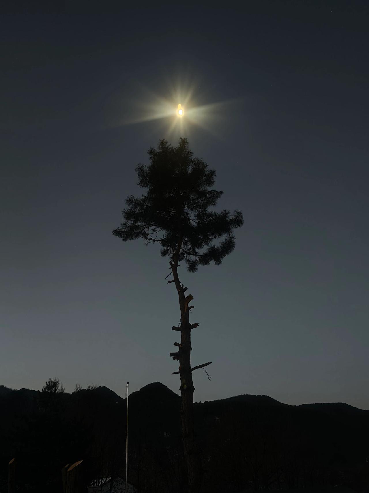 治愈系 我用摄影看世界自然风景