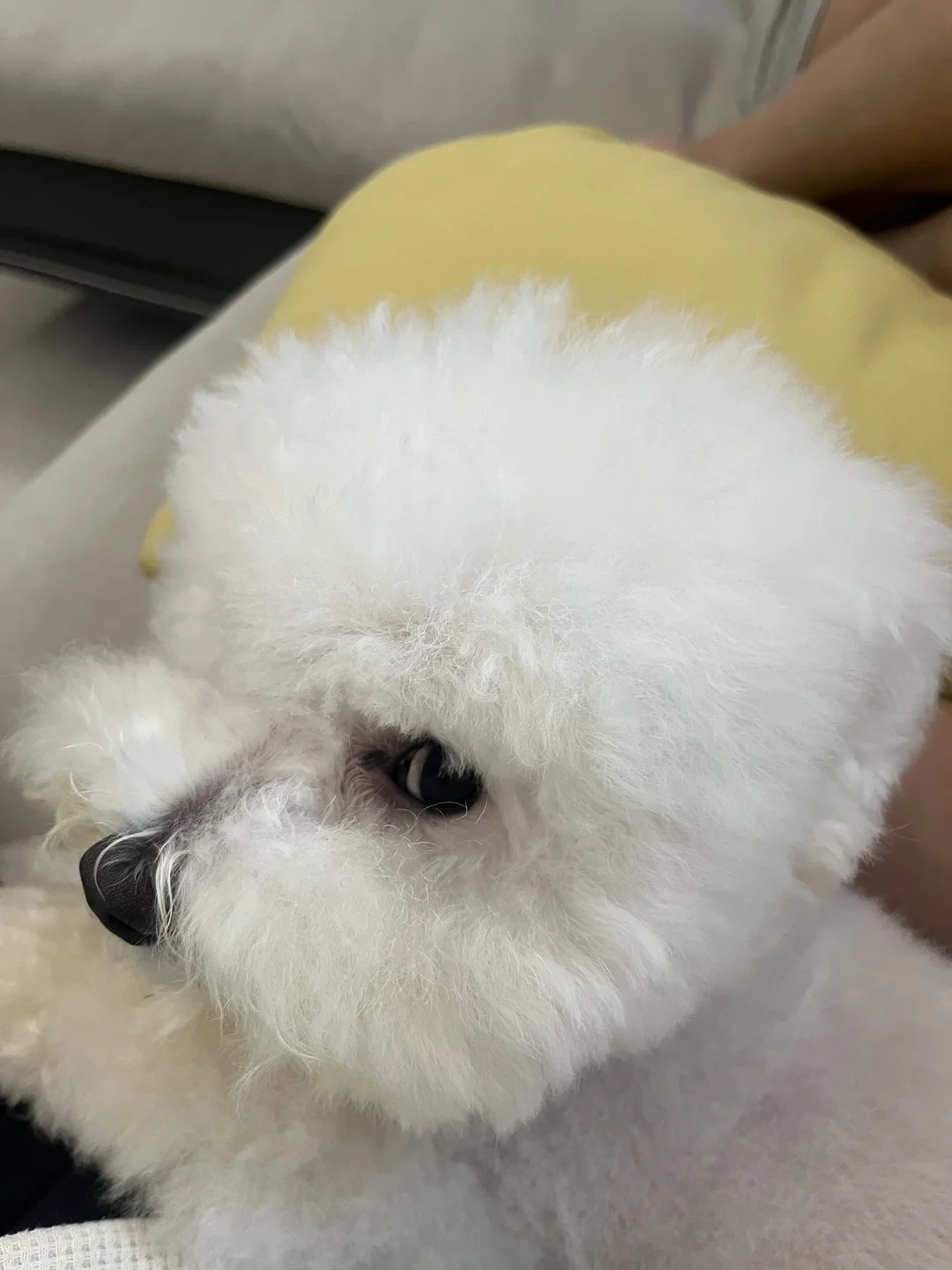 就这么气？