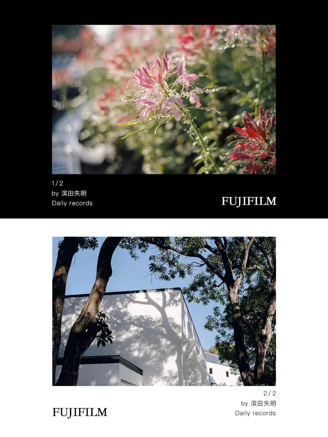 FujiFilm｜好想分享我这的阳光☀️给你