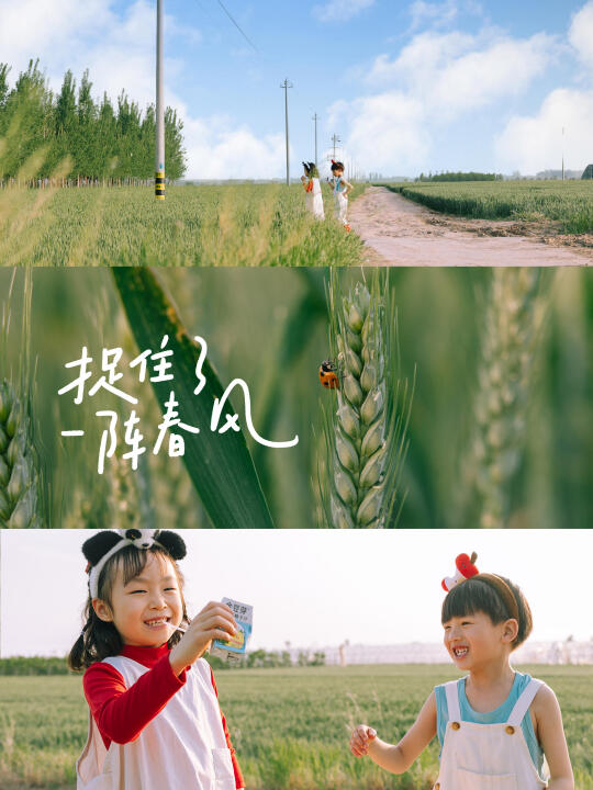 郑州麦田🌾掉进宫崎骏的天空｜郑州儿童写真